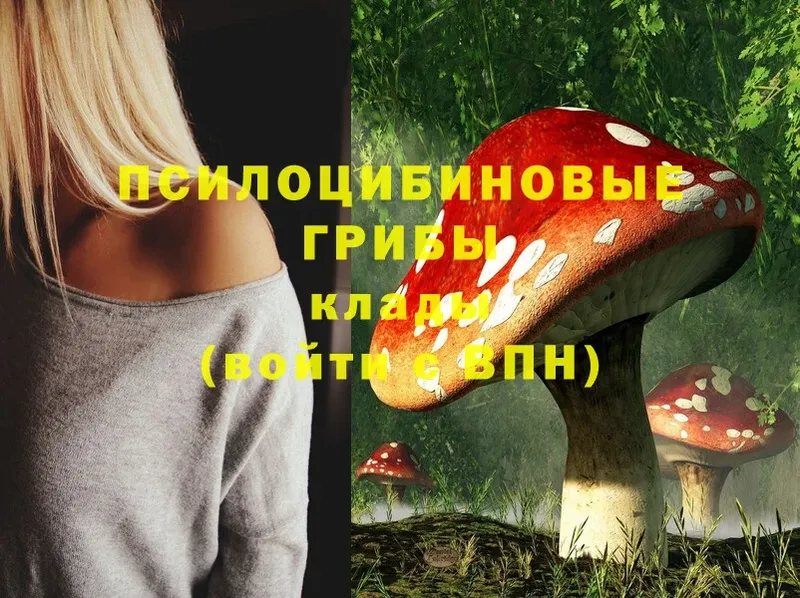 Псилоцибиновые грибы Psilocybine cubensis Буй